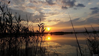 Рыбалка на озере