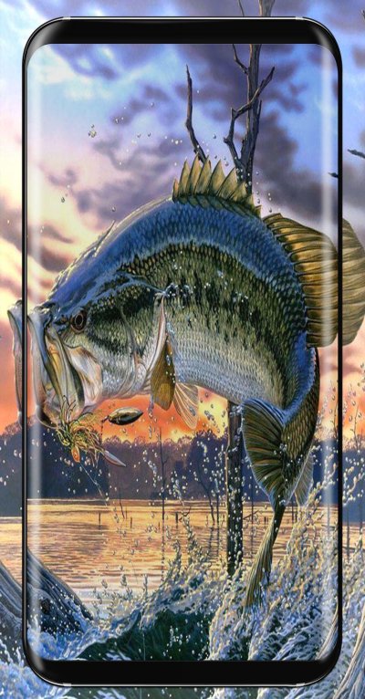 Рыболовные картинки