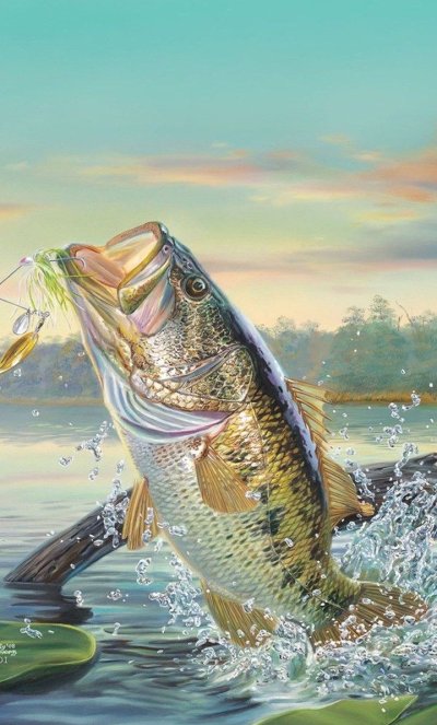 Рыбалка картина