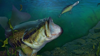 Обои на рабочий стол рыбалка