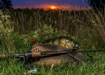 Природа рыбалка