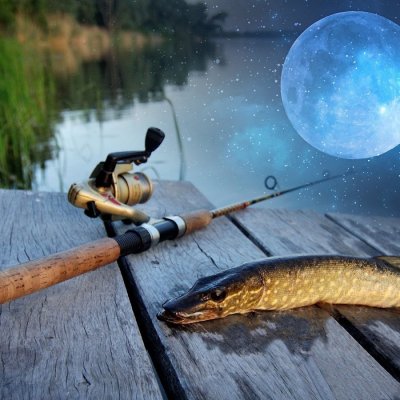 Летняя рыбалка