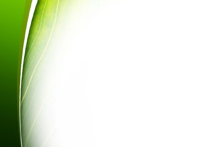 Салатовый фон для презентации