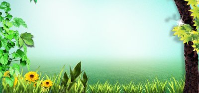 Фон для слайдов