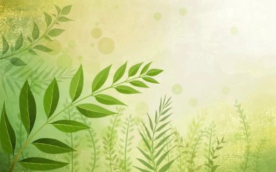 Красивый фон для презентации