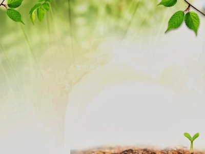 Фон для проекта