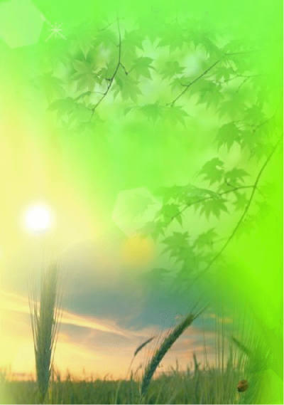 Фон для презентации вертикальный