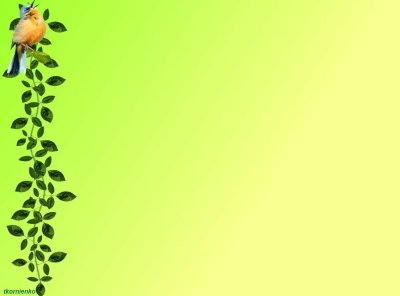 Фон для слайдов