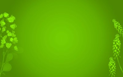 Красивый зеленый фон для презентации