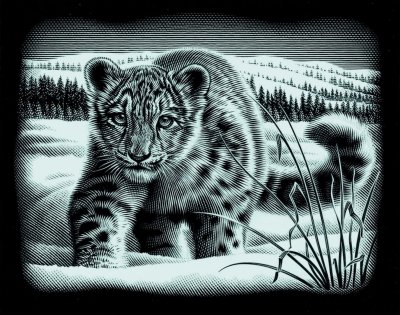Шаблон для гравировки