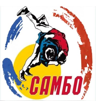 Наклейки самбо