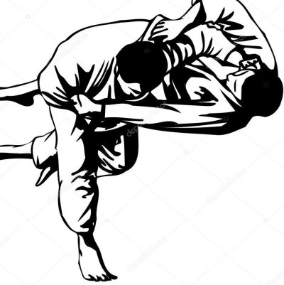 Дзюдо силуэт