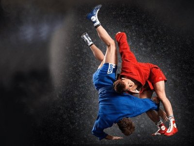 Самбо бросок