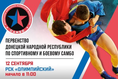 Самбо спорт