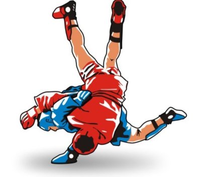 Боевое самбо