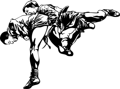 Борьба самбо в векторе