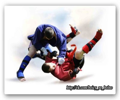 Боевое самбо