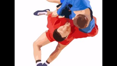 Самбо на белом фоне