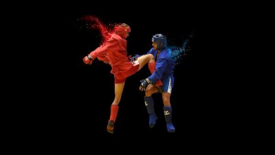 Боевое самбо картинки