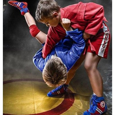 Самбо борьба дети