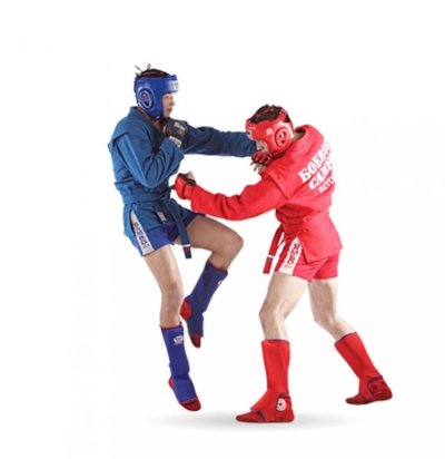 Спортивное и боевое самбо