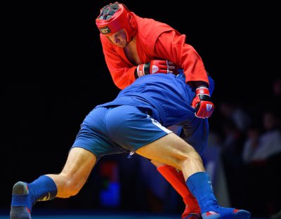 Боевое самбо партер