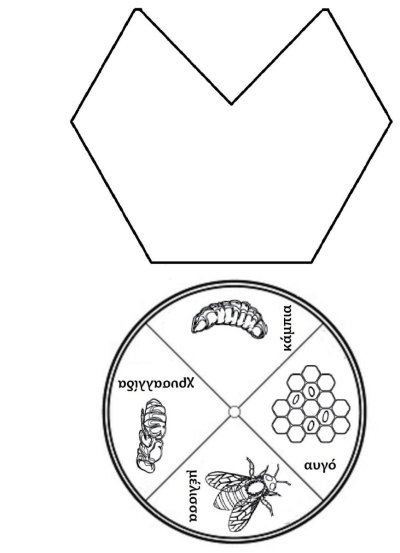 Макет лэпбука
