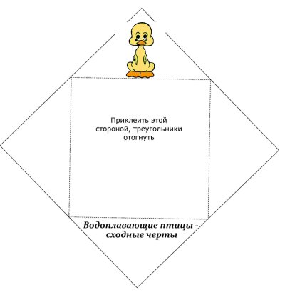 Карманы для лэпбука