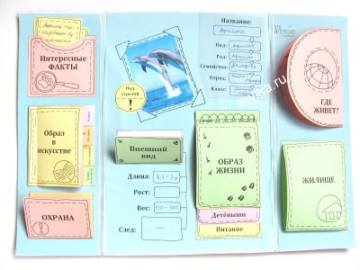 Мини книжки для лэпбука