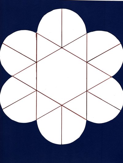 Лэпбук цветы