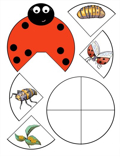 Насекомые макет для дошкольников