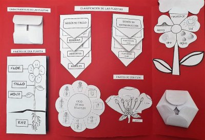 Цветок для лэпбука