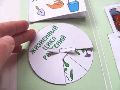 Цветок для лэпбука