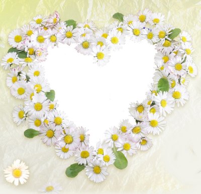 Сердце из ромашек
