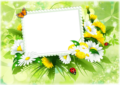 Рамка ромашки