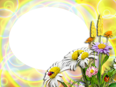 Рамка ромашки