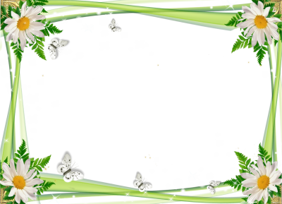 Рамка ромашки