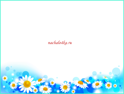 Рамка ромашки