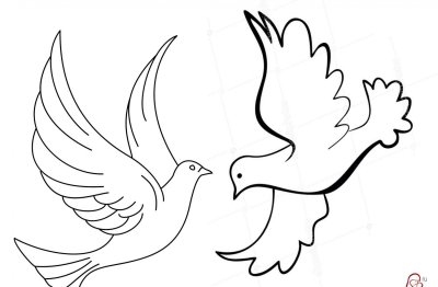 Голуби на 9 мая