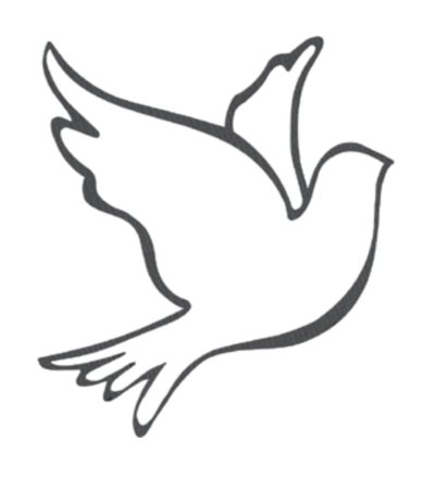 Голубь контур