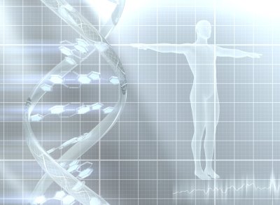 Фон для презентации по анатомии