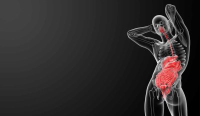 Анатомия человека на черном фоне