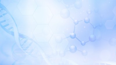 Шаблоны для презентации анатомия