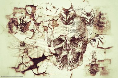 Леонардо да Винчи анатомия