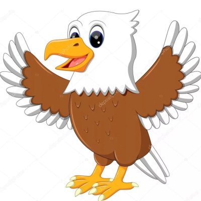 Птица Орленок России