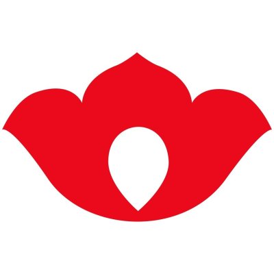 Татарский национальный узор орнамент тюльпан