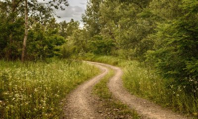 Дорога Проселочная тропинка
