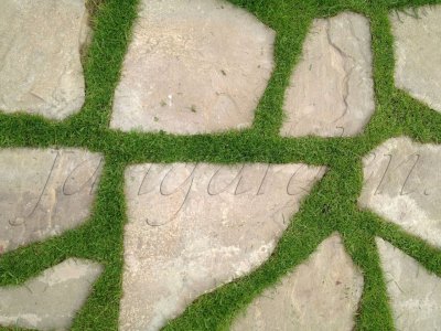 Садовые дорожки вид сверху