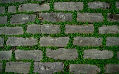 Каменная стена