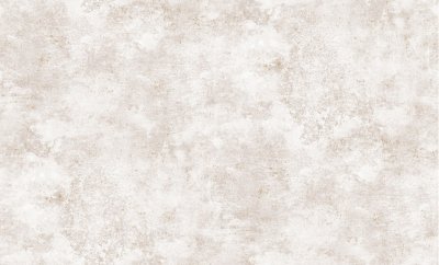 BN International Tailor 249823